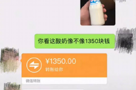 聊城专业讨债公司，追讨消失的老赖